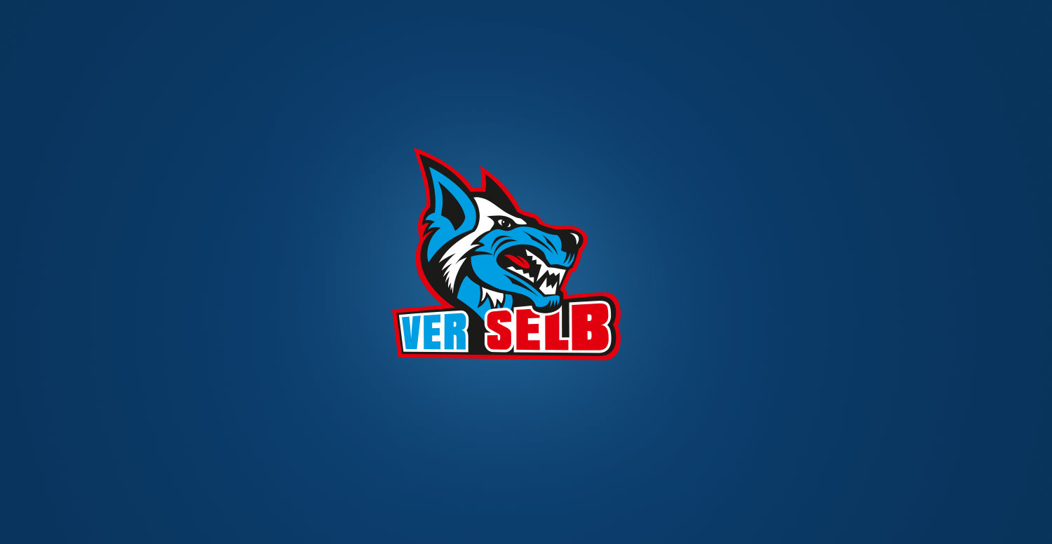 eishockey bamberg eishockey bamberg
