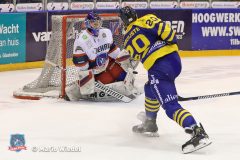 02.02.2019 Tilburg Trappers vs. Selber Woelfe VF_3