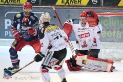 02.02.2020 Selber Woelfe vs. ECDC Memmingen Indians