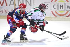 03.04.2021 HF_PO1 Selber Woelfe vs. Starbulls Rosenheim