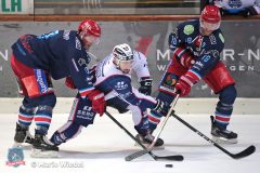 06.12.2019 Selber Woelfe vs. Lindau Islanders