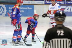 SelberWoelfe_vs_EVLandshut_032