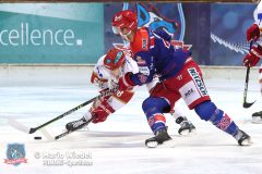 SelberWoelfe_vs_EVLandshut_048