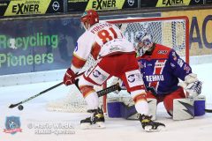 SelberWoelfe_vs_EVLandshut_059