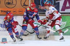 SelberWoelfe_vs_EVLandshut_061