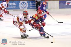 SelberWoelfe_vs_EVLandshut_075