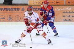 SelberWoelfe_vs_EVLandshut_078