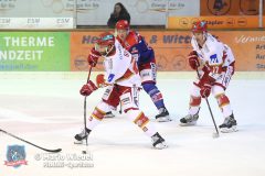 SelberWoelfe_vs_EVLandshut_079