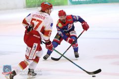 SelberWoelfe_vs_EVLandshut_147