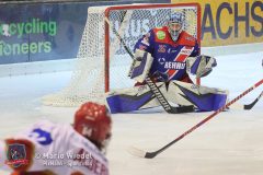 SelberWoelfe_vs_EVLandshut_159