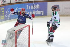 11.04.2021 HF_Spiel5 Selber Woelfe vs. Starbulls Rosenheim