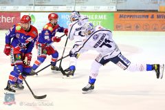 Testspiel - Selber Woelfe vs. Dresdner Eisloewen