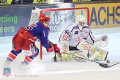 Testspiel - Selber Woelfe vs. Dresdner Eisloewen