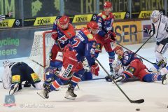 Testspiel - Selber Woelfe vs. Dresdner Eisloewen