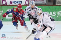 Testspiel - Selber Woelfe vs. Dresdner Eisloewen