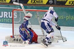 13.01.2019 Selber Woelfe vs. EV Lindau Islanders