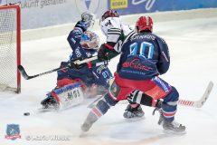 13.12.2019 Selber Woelfe vs. Starbulls Rosenheim