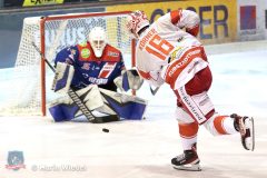 Testspiel - Selber Woelfe vs. EC Bad Nauheim