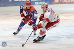 Testspiel - Selber Woelfe vs. EC Bad Nauheim