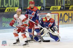 Testspiel - Selber Woelfe vs. EC Bad Nauheim