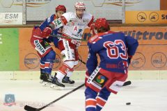 Testspiel - Selber Woelfe vs. EC Bad Nauheim