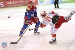 Testspiel - Selber Woelfe vs. EC Bad Nauheim