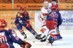 Testspiel - Selber Woelfe vs. EC Bad Nauheim