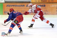 Testspiel - Selber Woelfe vs. EC Bad Nauheim