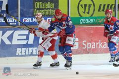 Testspiel - Selber Woelfe vs. EC Bad Nauheim