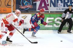 Testspiel - Selber Woelfe vs. EC Bad Nauheim