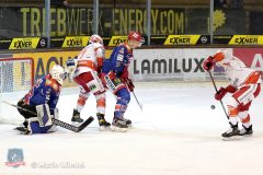 Testspiel - Selber Woelfe vs. EC Bad Nauheim