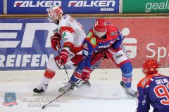 VER_ECBadNauheim_P_055