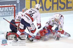 EHCFreiburg_SelberWoelfe_P_133