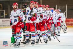 26.12.2018 Höchstadt Alligators vs. Selber Woelfe