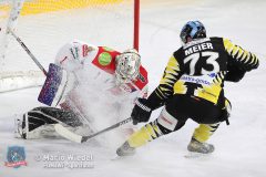 28.12.2021 Bayreuth Tigers vs. Selber Woelfe 0:4