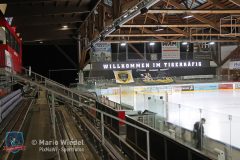 BayreuthTigers_SelberWoelfe_w_001