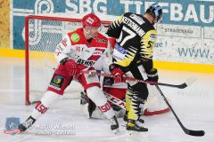 BayreuthTigers_SelberWoelfe_w_019