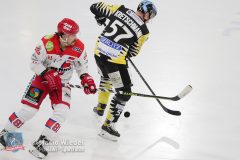 BayreuthTigers_SelberWoelfe_w_021