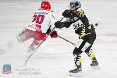 BayreuthTigers_SelberWoelfe_w_033