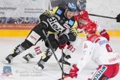 BayreuthTigers_SelberWoelfe_w_044