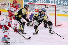 BayreuthTigers_SelberWoelfe_w_045