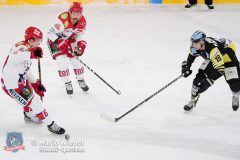 BayreuthTigers_SelberWoelfe_w_053