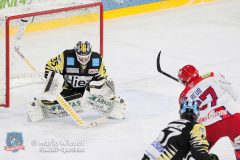 BayreuthTigers_SelberWoelfe_w_056