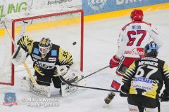 BayreuthTigers_SelberWoelfe_w_059