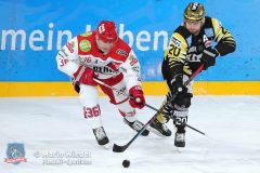 BayreuthTigers_SelberWoelfe_w_071