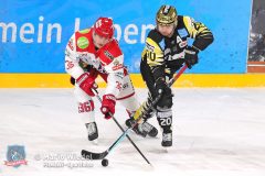 BayreuthTigers_SelberWoelfe_w_072