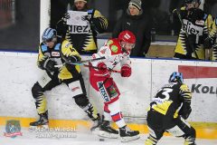 BayreuthTigers_SelberWoelfe_w_081