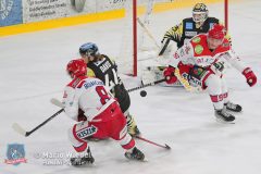 BayreuthTigers_SelberWoelfe_w_083