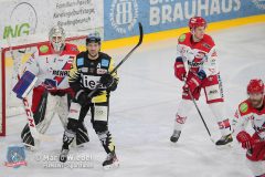 BayreuthTigers_SelberWoelfe_w_090