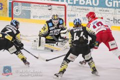 BayreuthTigers_SelberWoelfe_w_146